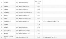 最新爆料的网站排名,揭秘行业巨头与新兴势力争霸格局