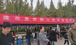 江西莲花县最新爆料,揭秘神秘事件背后的真相