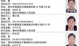 阜宁最新爆料案件名单公布,案情聚焦，真相渐明”